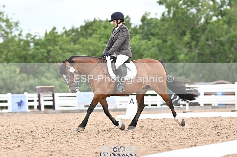 250705-175538-04493 - N2 Section BDNOV2 16.29 to 17.46