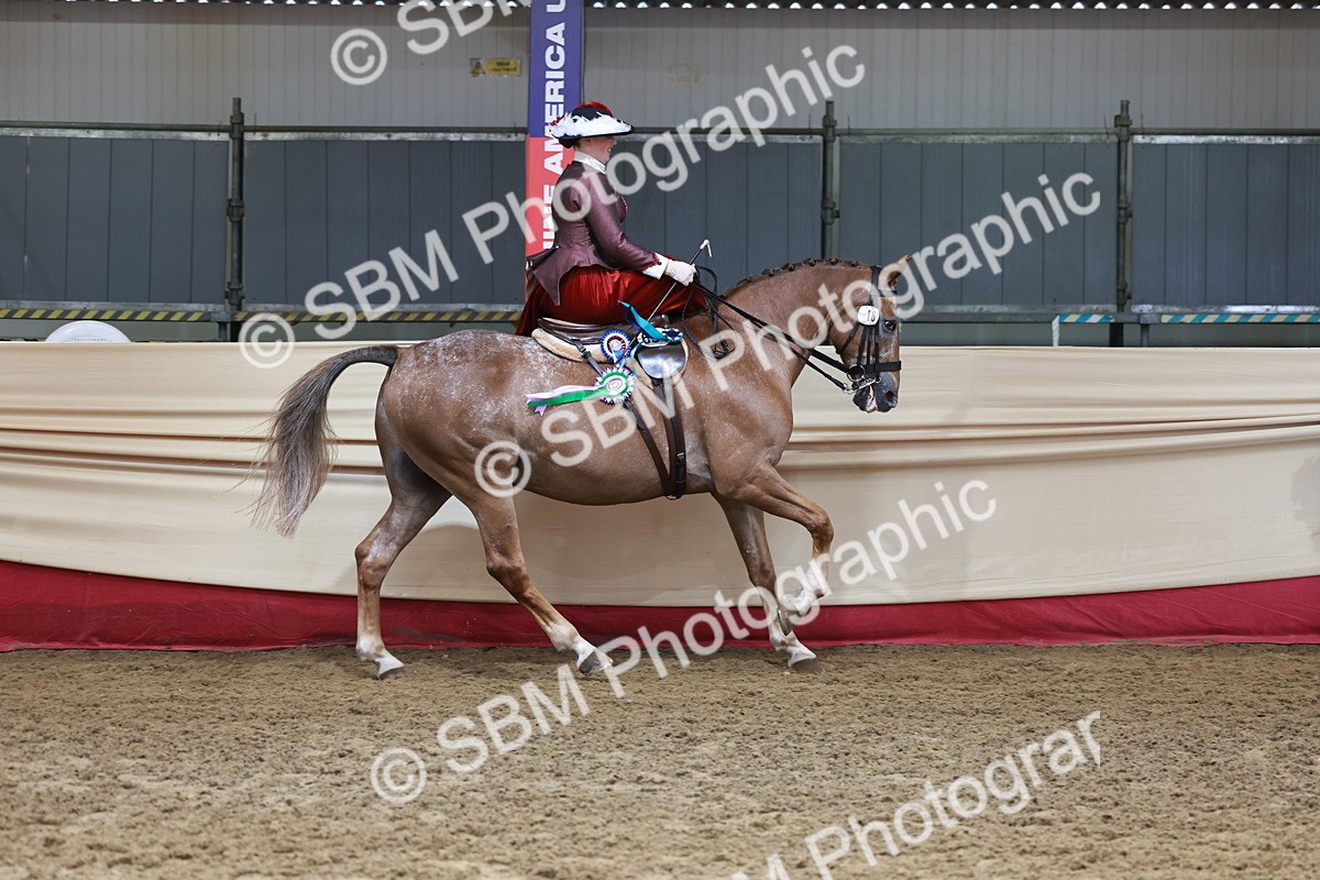 SBM_13651 - Class 105 - Ridden Costume - Side Saddle