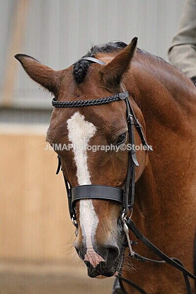 SIAL2943 - Sunday 14th Ridden