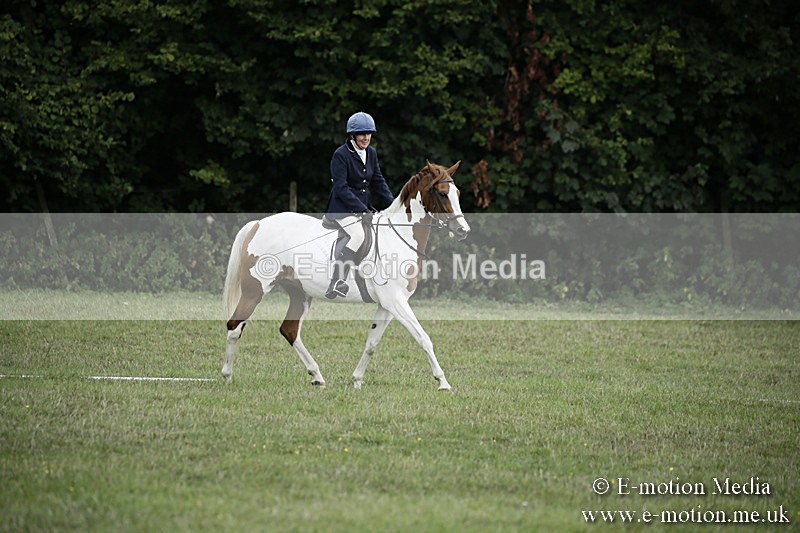 BVR090918 3 - BVRC Dressage and Show Jumping 09/09/18