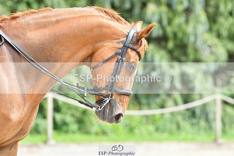 230623-144327-01036 - Cls 5 Elementary 43