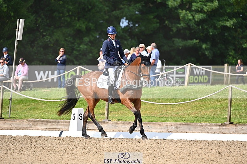 250523A-094210-05318 - C-258-Bill.Levett-ITALIAN.HARLEQUIN.NJ