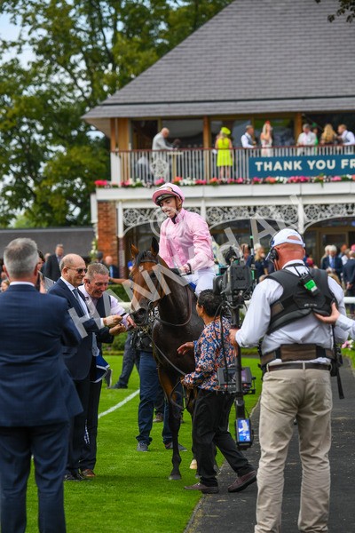 240823-Race 4-Warm Heart-0576 - Race 4 3.35pm Pertemps Network Yorkshire Oaks