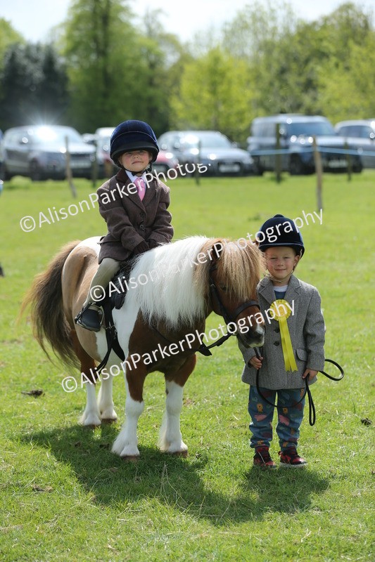 20250427-3922 - Class 10 - Best Mane and Tail
