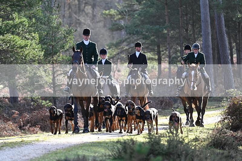 WJ7_7618 - Line 3 (no line 4 or 5)