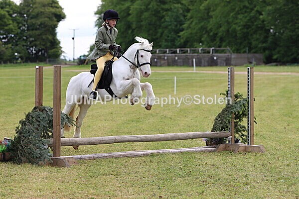 IMG_2527 - Working Hunter
