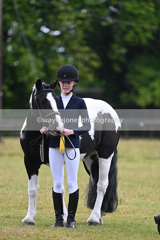 WJ7_5916 - Class 4 Prettiest Mare in Hand