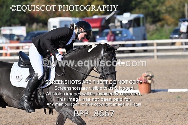 BPP_8667 - LONG ARENA
