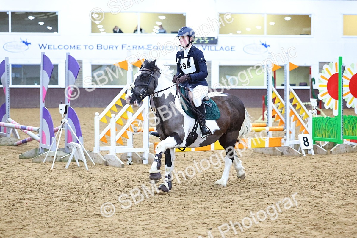 SBM_001334 - Class 3 - Christmas Tree Stakes - 60cm