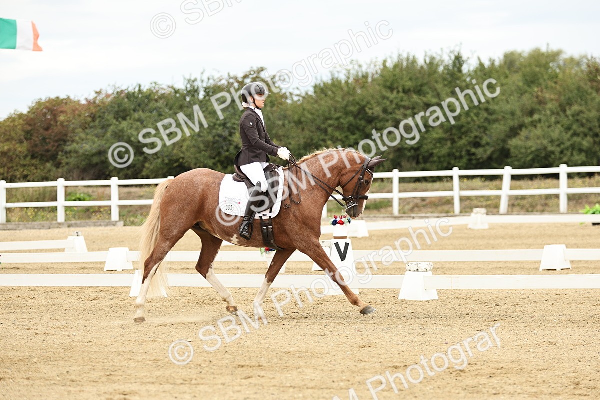 SBM_006541 - Class 21 - Medium 5 Bronze - 9.08-9.48