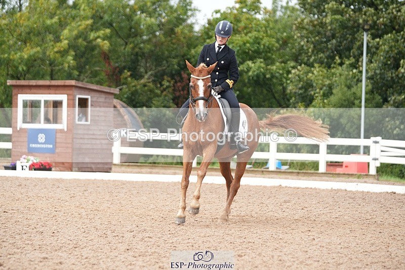 250907-154049-09606 - 122-India.JohnGrayswood.Orlando