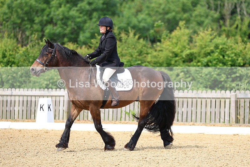 3E7A9037 - Class 1: Intro 1 2024 Section A