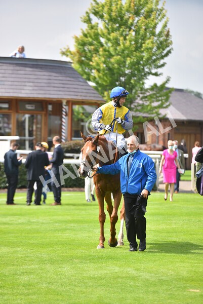 yr10072021r3-34 - Race 3: 2.55pm John Smith's Stayers Stakes