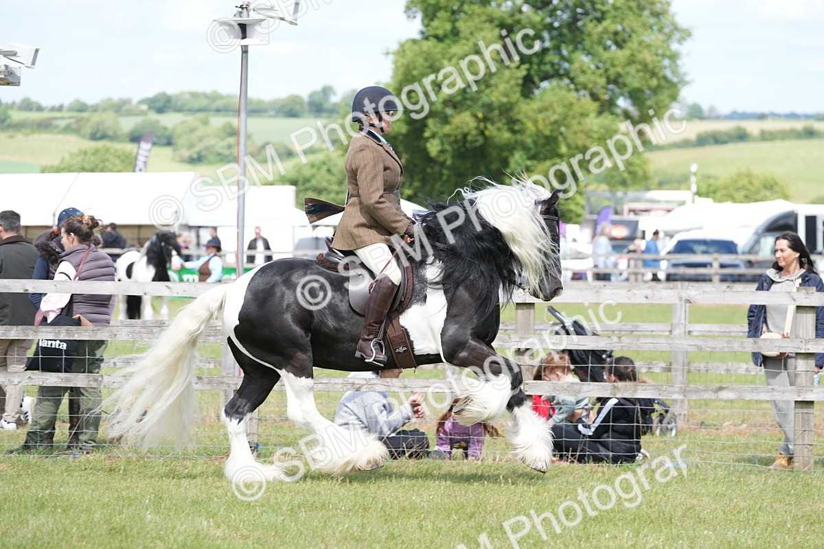 SBM_17140 - Class 107-108 - LIHS BSPS Performance Coloured Horse Pony