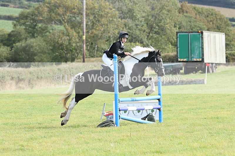JPP_8619 - Class 2: Trekenning: 80cm Showjumping