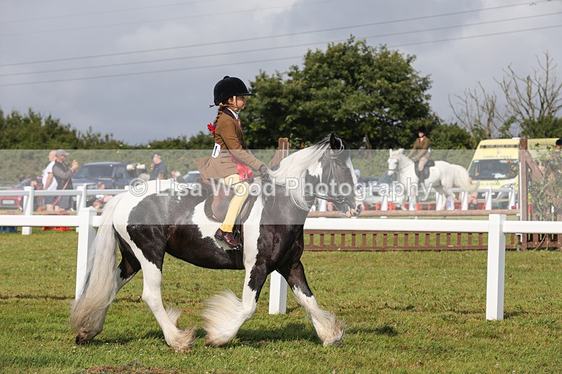 1X9A3455 - Skewbald and Piebald Ridden Championship