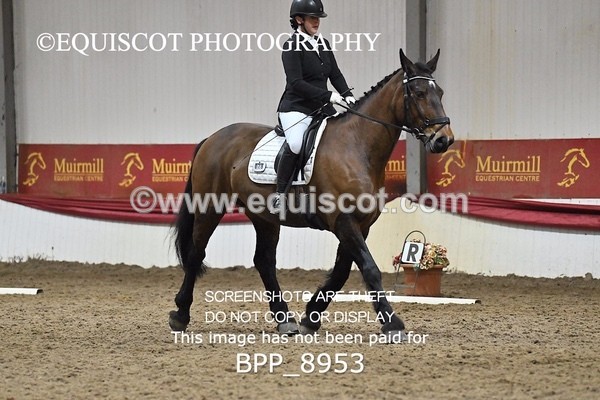 BPP_8953 - NOVICE 6