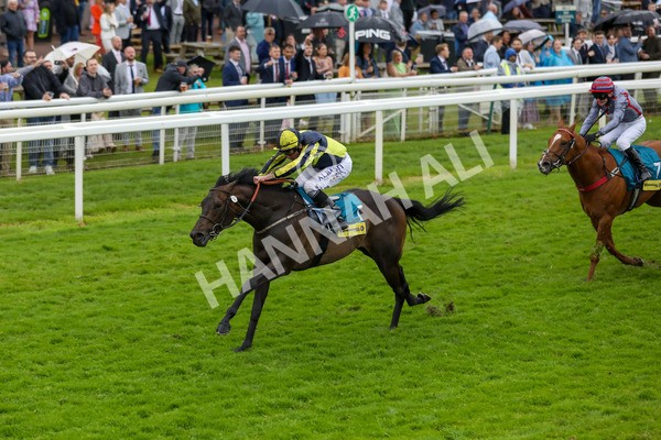 150624-Race 4-Jamess Delight-6153 - Race 4 3.35pm Churchill Tyres Supporting Macmillan Sprint Handicap