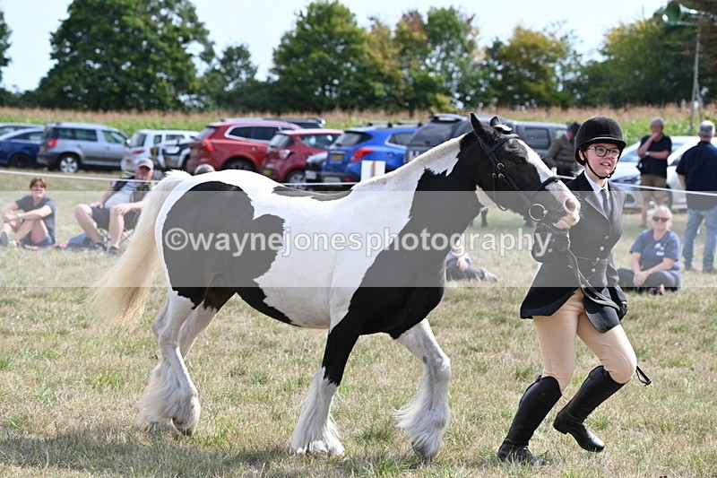 WJ6_6634 - Class 20 In-hand Cob