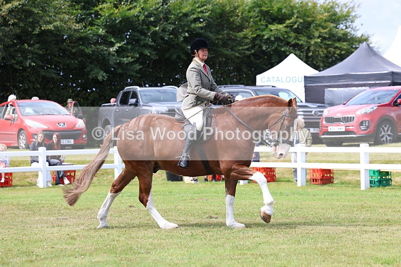 3E7A0169 - Class 6: Rising Star Maxi Cobs