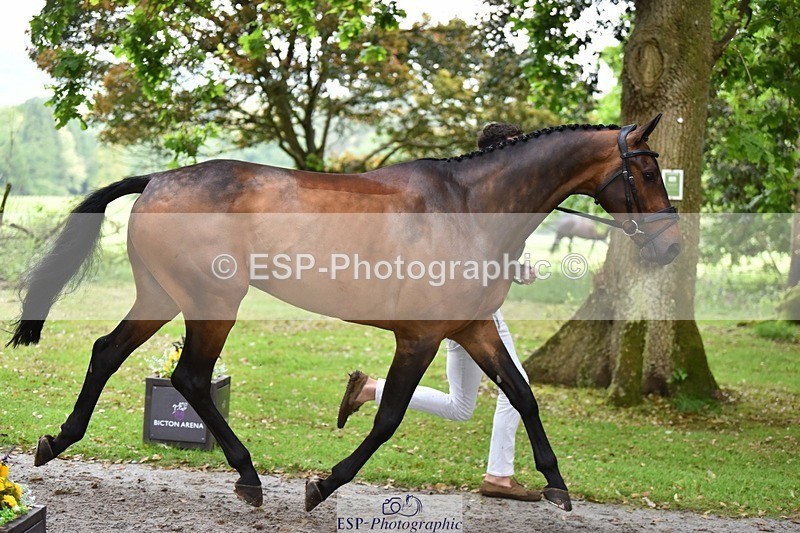 240522-172240-01562 - 277-MACKENZY-Will_Rawlin