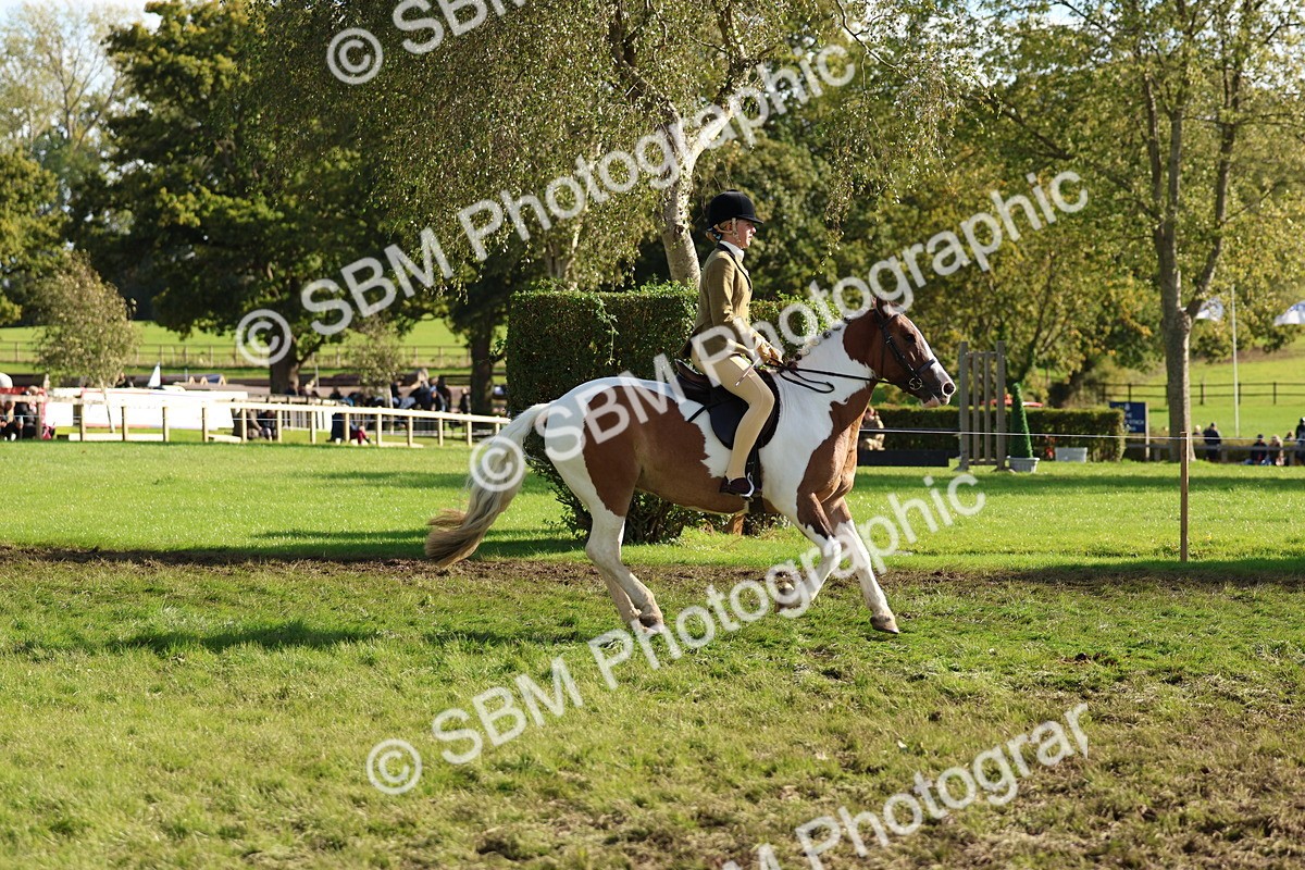 SBM_52416 - S13 - Pony Club Pony