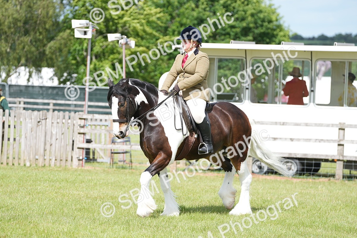 SBM_17289 - Class 107-108 - LIHS BSPS Performance Coloured Horse Pony