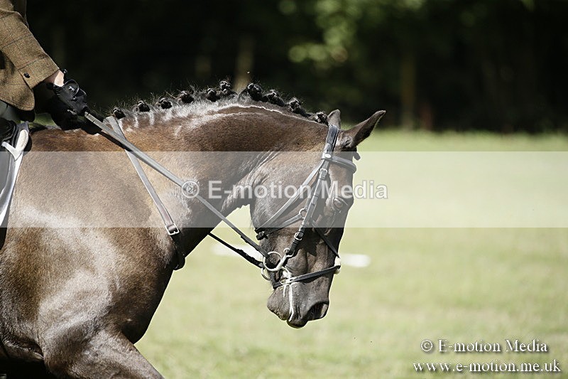 BVR090918 282 - BVRC Dressage and Show Jumping 09/09/18