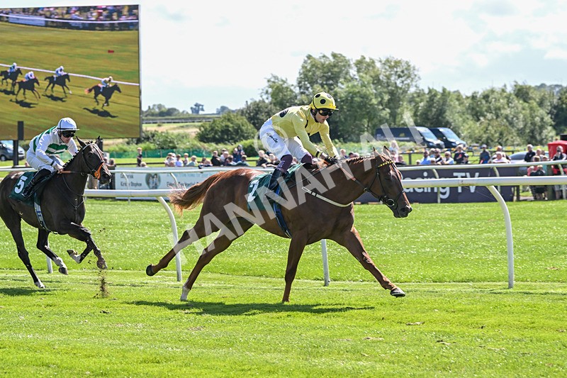 050825-Race 1-Reverberate-5042 - Race 1