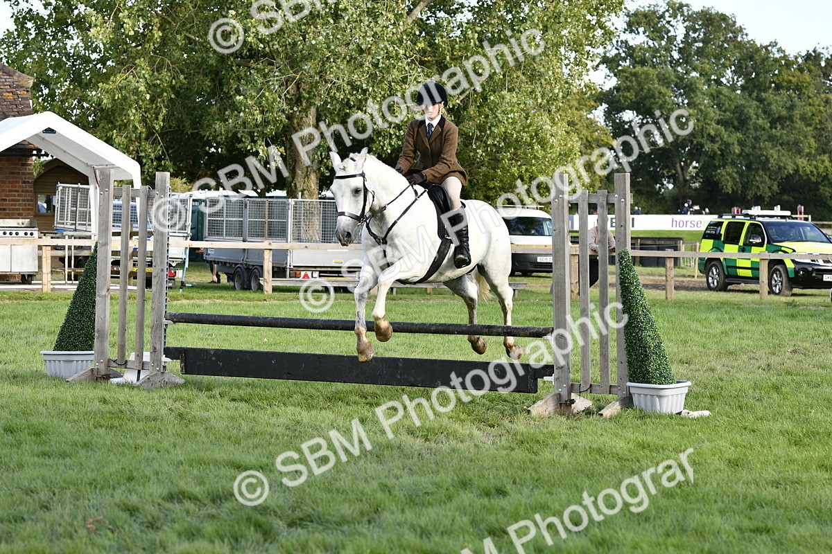 SBM_52178 - S35 - Working Hunter & Working Show Horse