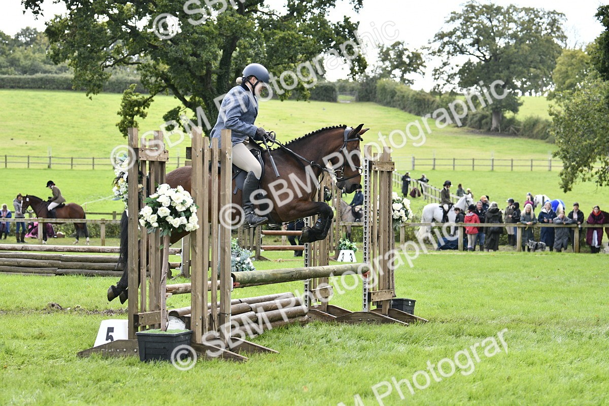 SBM_45625 - S33 - Working Hunter Pony