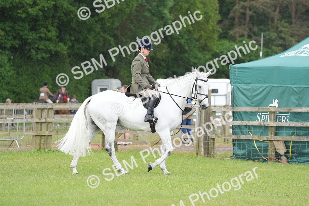 SBM_12637 - Class 97-98 - LIHS BSHA Rising Star Working Show Horse Hunter