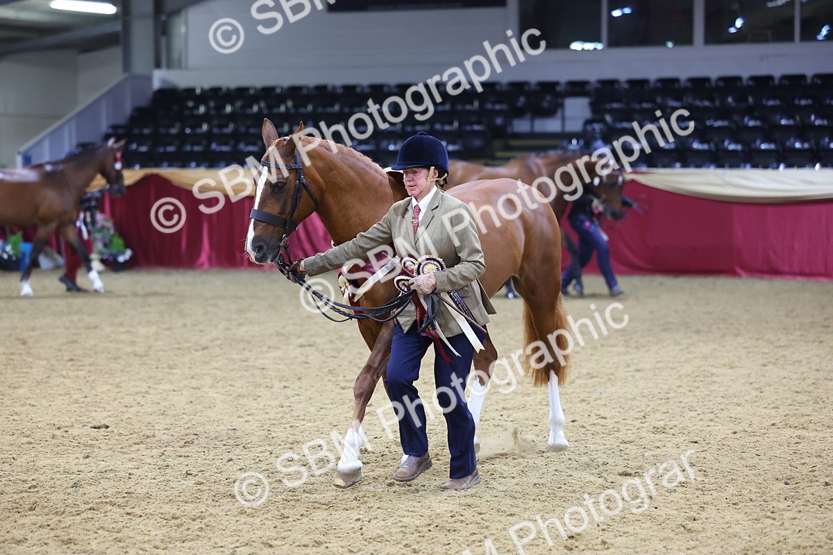 SBM_19823 - Class 901 - Supreme Final - IH Diamond