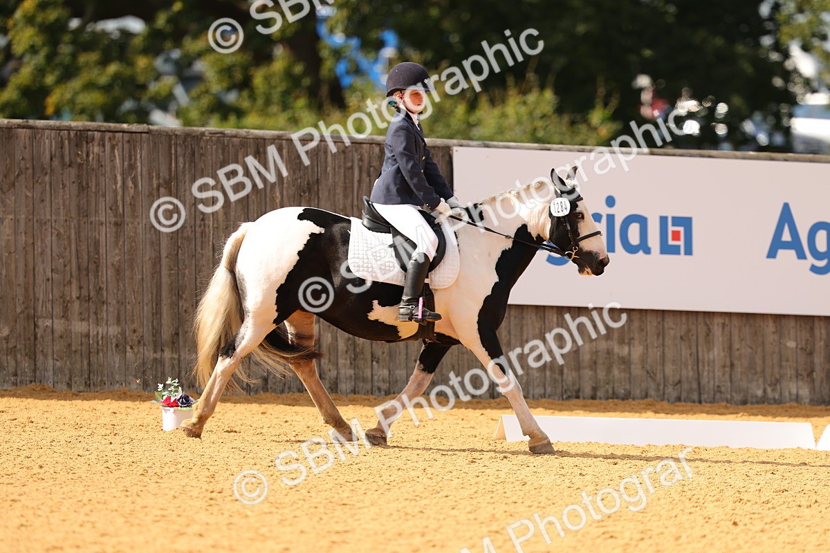 SBM_48297 - D22 - Junior Championship - Intro B