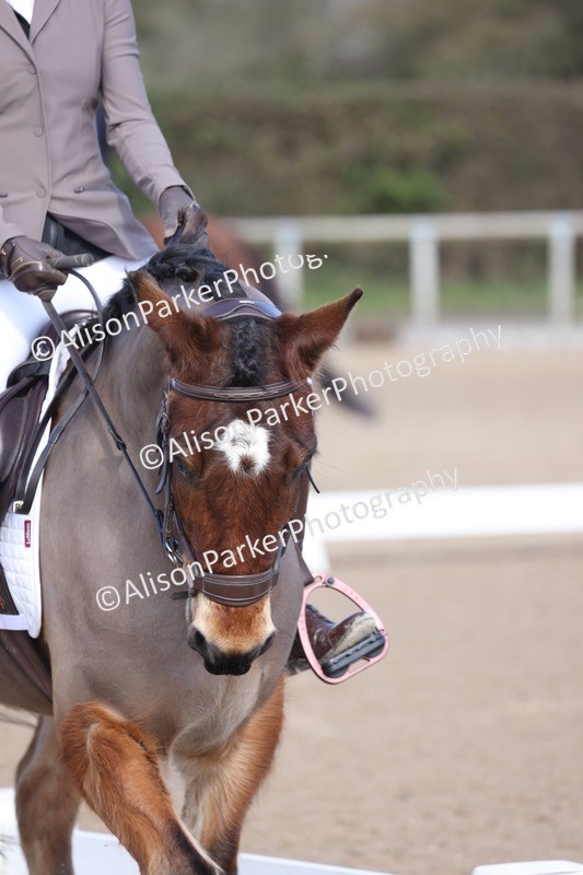 20260228-0502 - Class 4 - Prelim 2