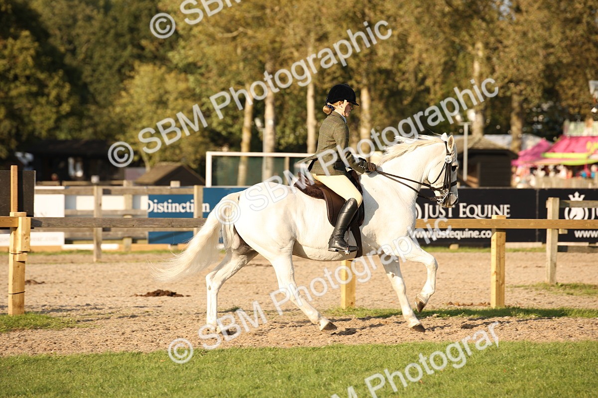 SBM_54403 - S27 - Mature Veteran - Ridden