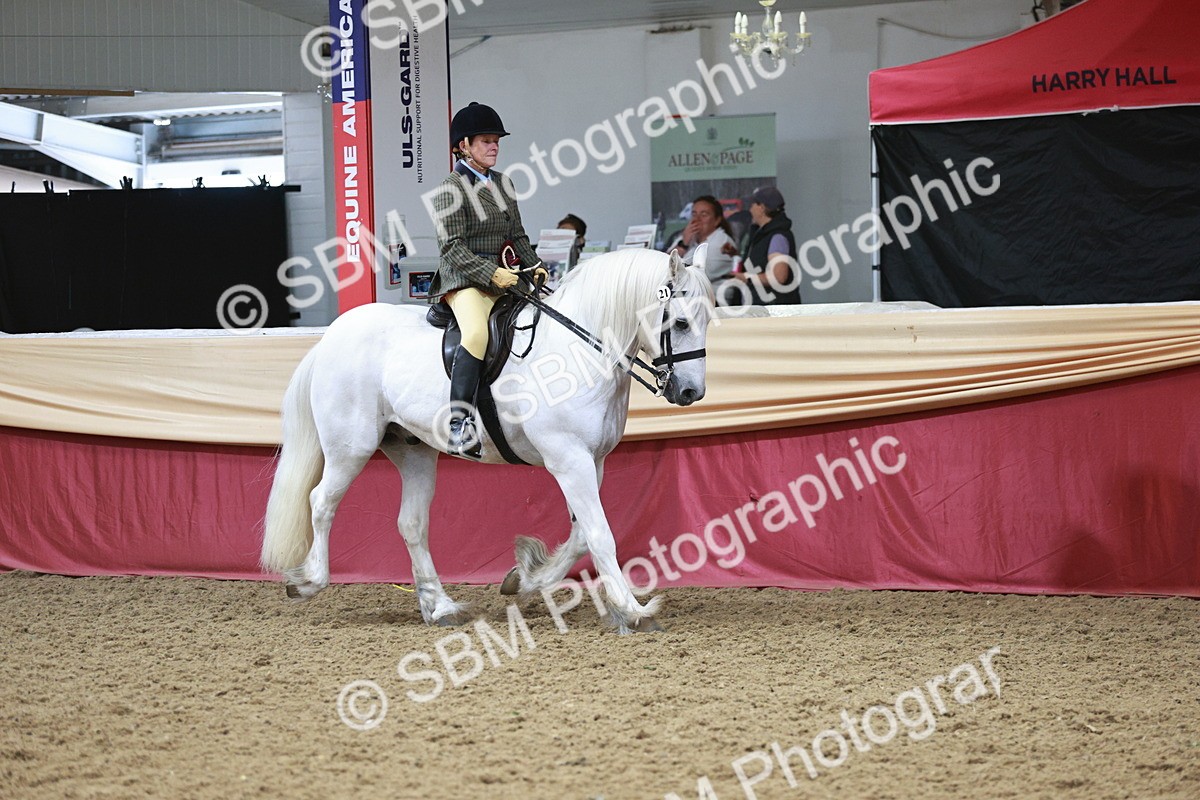SBM_08645 - Regional Ridden Champ