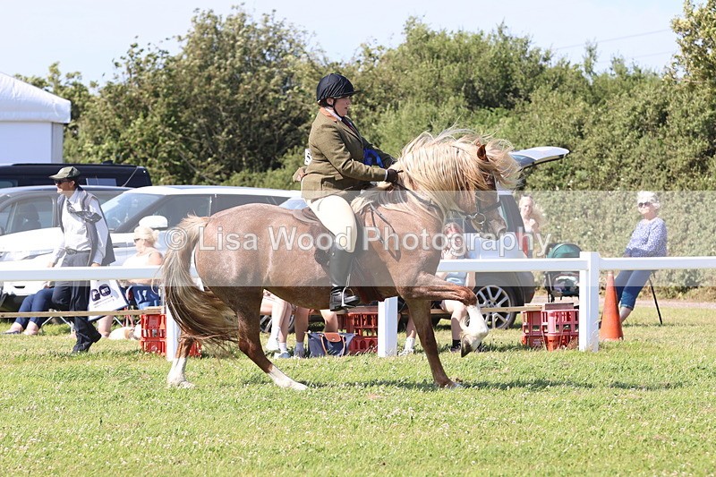 JPP_2050 - Cornish Combination Championship