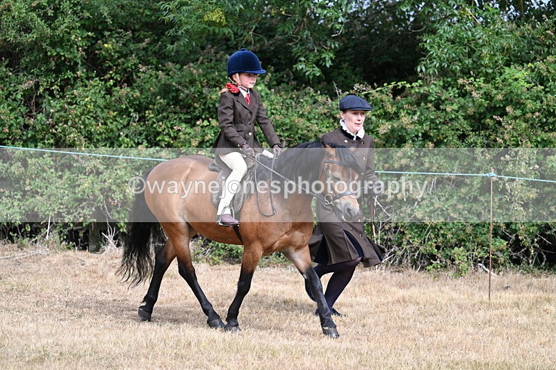 WJ7_6530 - Class 1 Lead Rein Pony