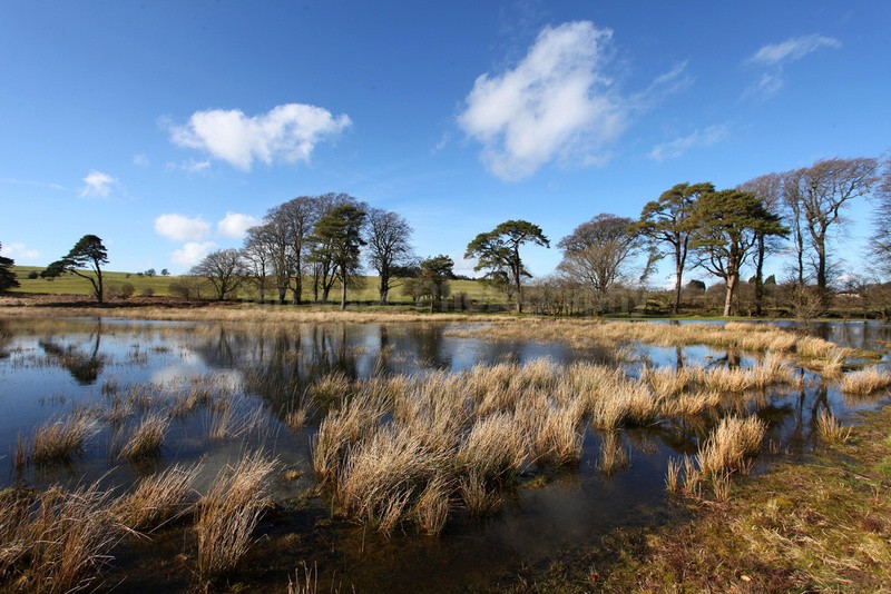 Priddy, Somerset_PR_003 - Somerset landscape Photography