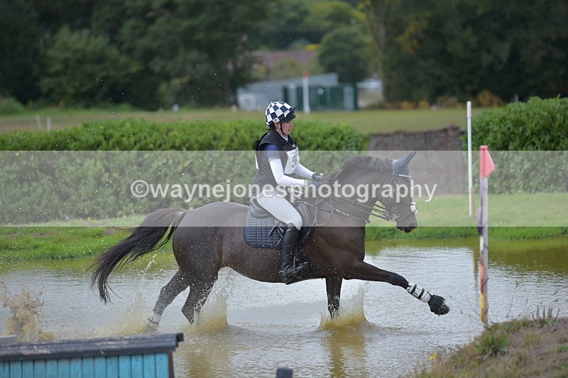 NGP_2341 - XC Time 11:20 to 11:36