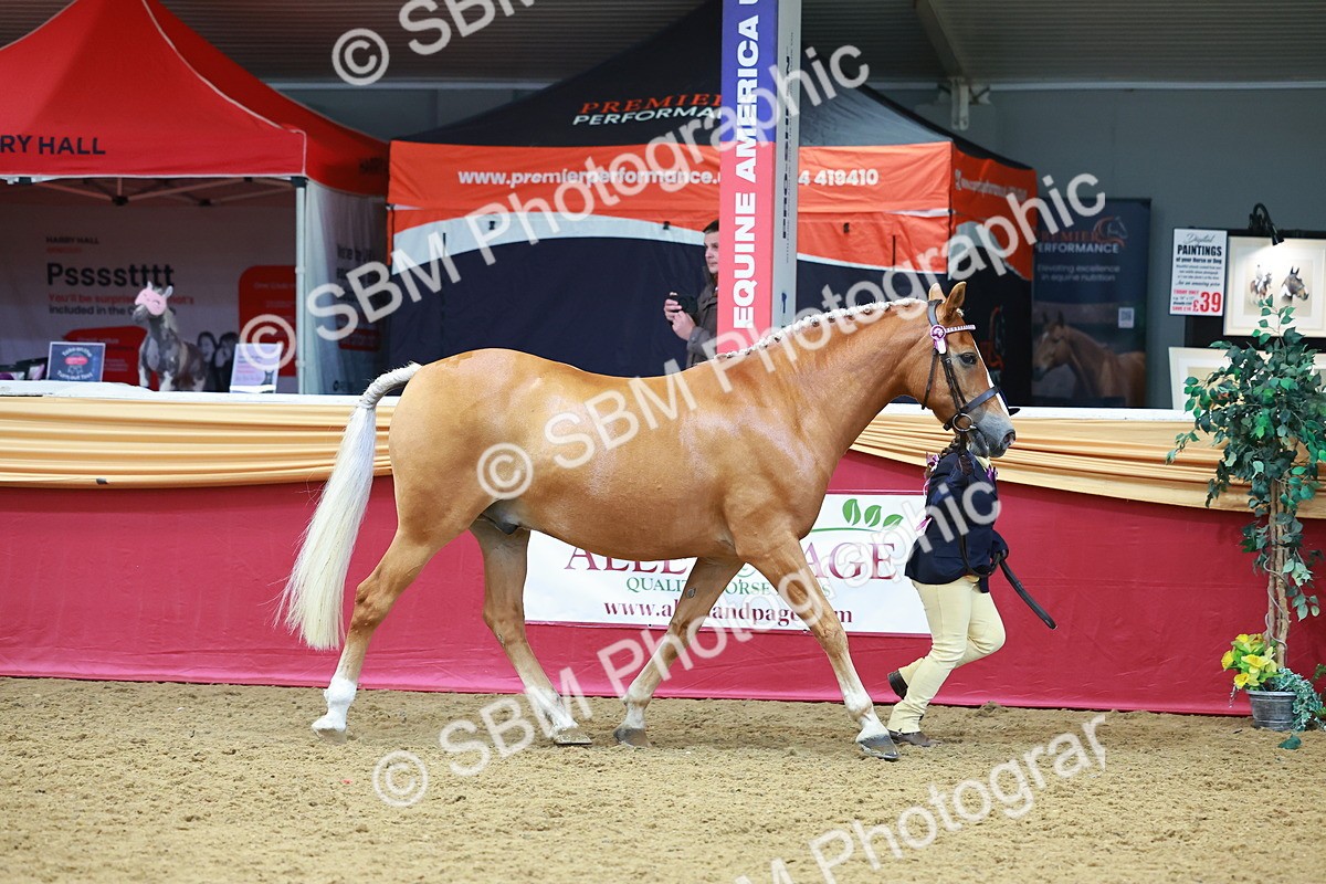 SBM_04213 - Class 9R - IH Pre-Vet