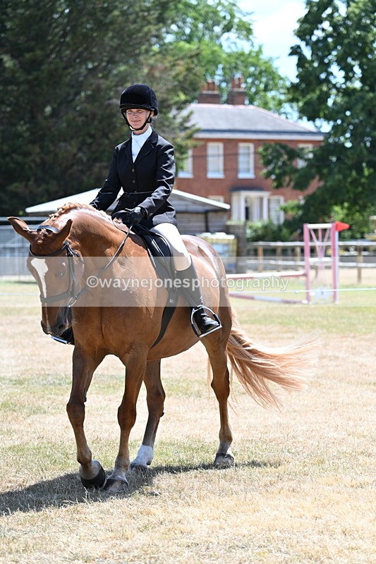 WJ7_2828 - Class 7 Riding Club Show Horse