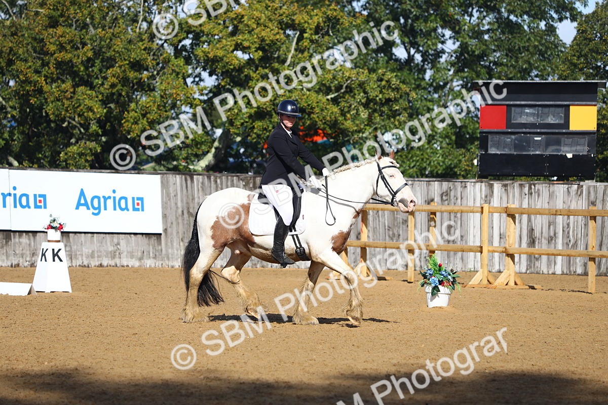 SBM_38999 - D21 - Junior Championship Intro 1