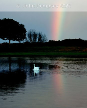 Rainbow at the Curlie - The Curlie