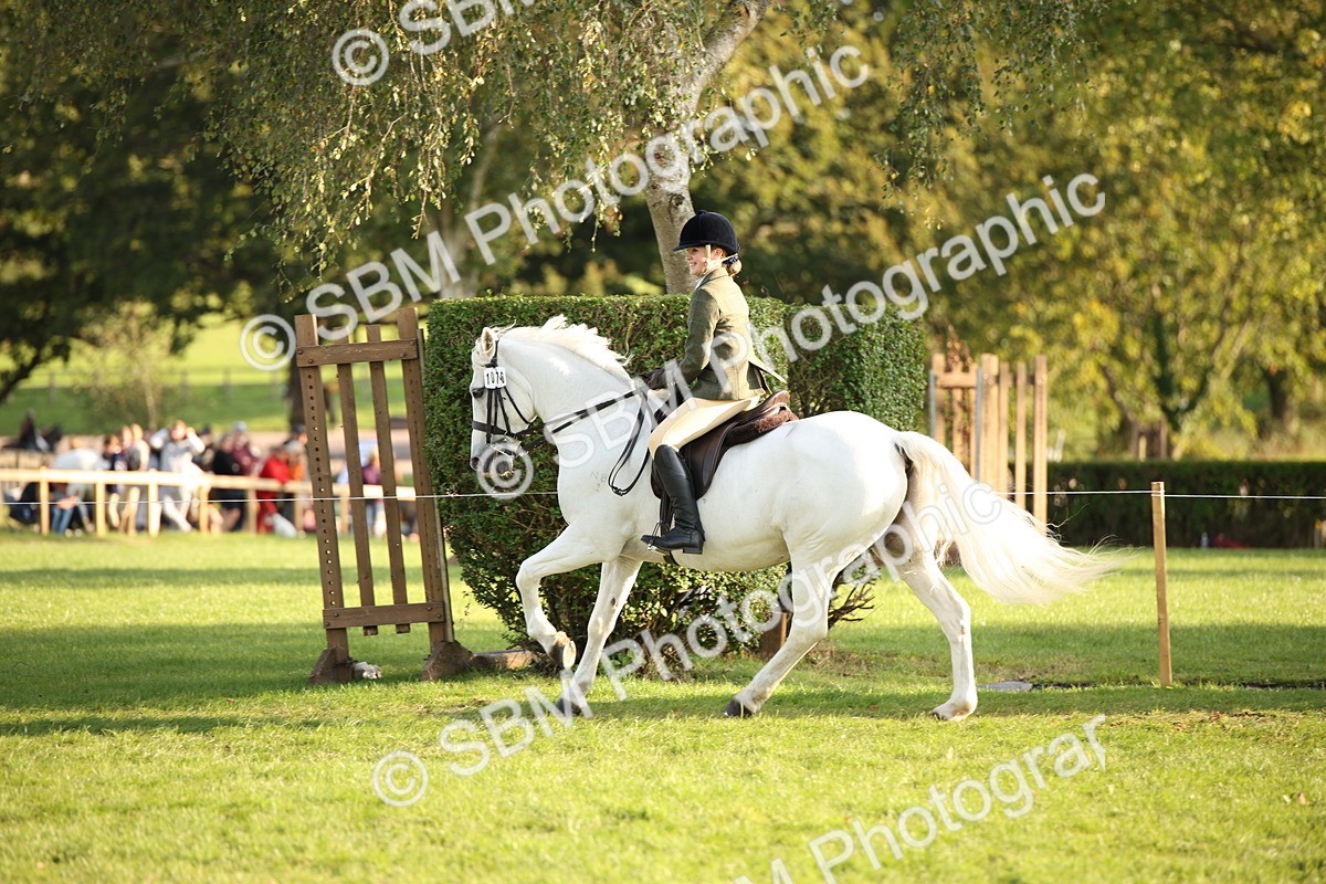 SBM_54406 - S27 - Mature Veteran - Ridden