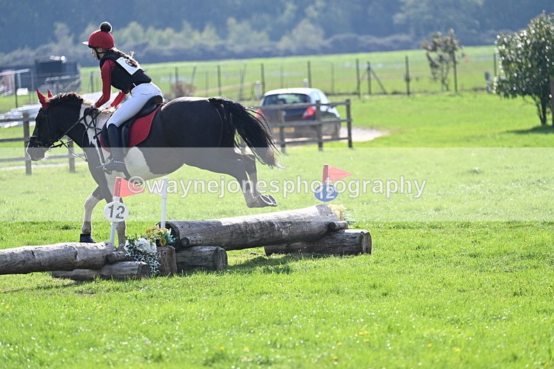 WJ7_4946 - 60cm Time 11:11 to 11:19