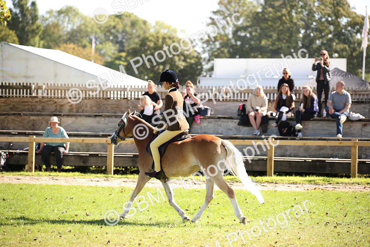 SBM_39033 - S11 - Best Ridden Horse & Pony