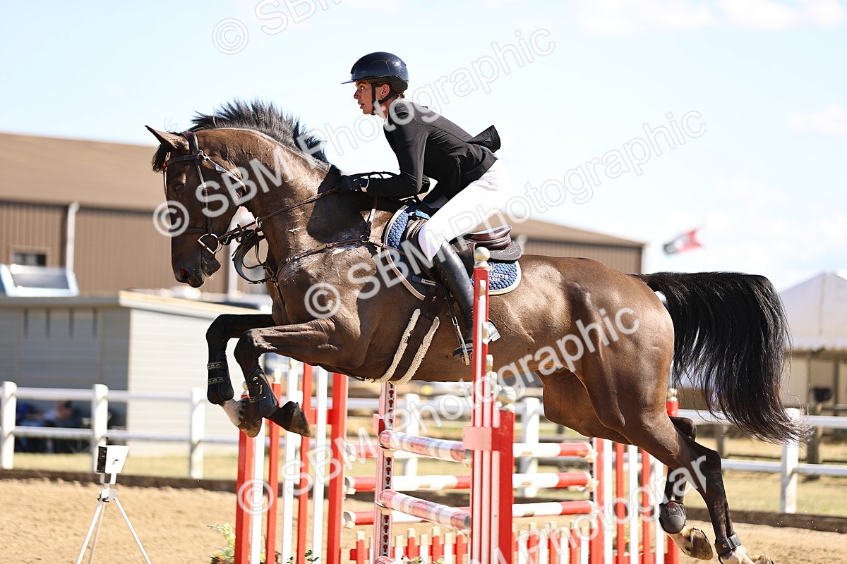 SBM_015506 - Class 16 - Senior foxhunter - 1.20m Open