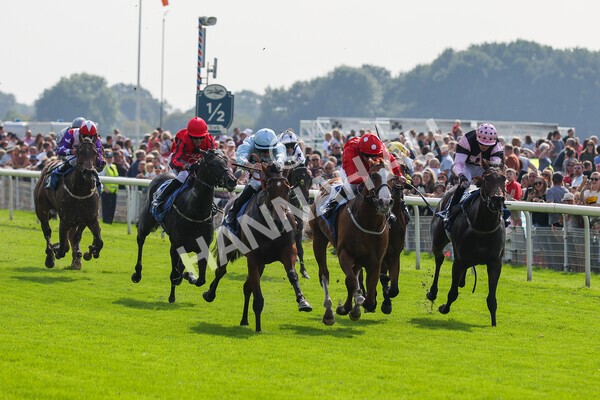 yr05092021r1-20 - Race 1 2.10pm IRE-Incentive It Pays To Buy Irish ebfstallions.com Novice Stakes